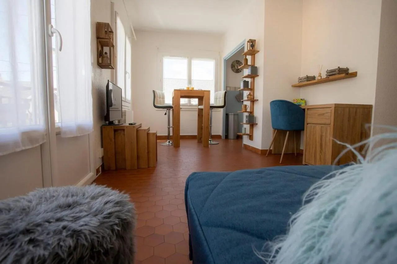 Le Chamonix Annecy Apartment
